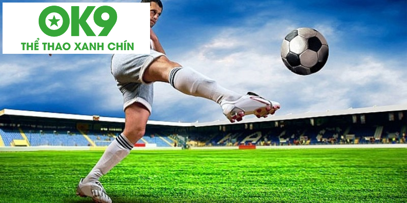 Những quy định được đề cập trong luật hiệp phụ Những quy định được đề cập trong luật hiệp phụ